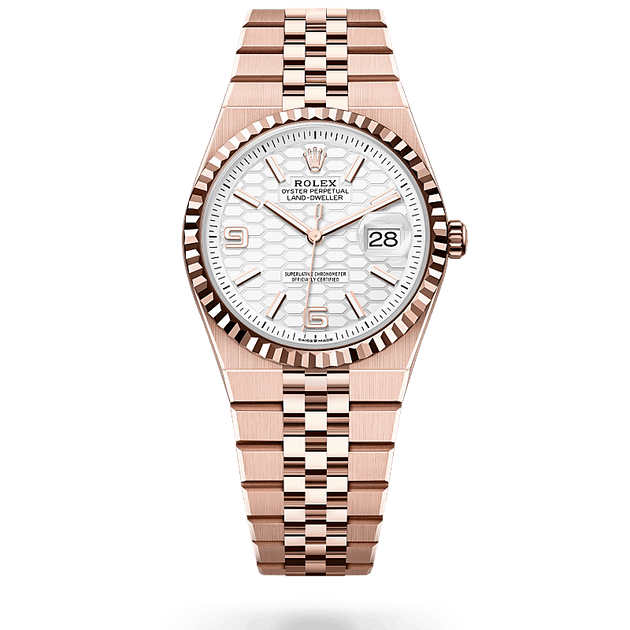 Rolex Land-Dweller in 18 ct Everose gold, M127235-0001 - H.L. Gross Jewelers