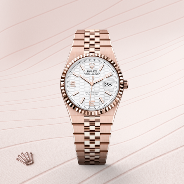 Rolex Land-Dweller in 18 ct Everose gold, M127235-0001 - H.L. Gross Jewelers