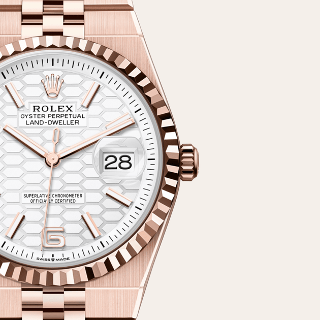 Rolex Land-Dweller in 18 ct Everose gold, M127235-0001 - H.L. Gross Jewelers