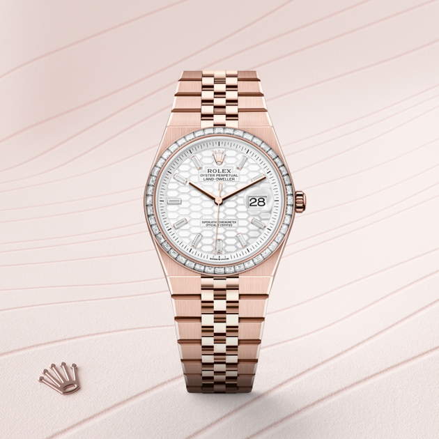 Rolex Land-Dweller in 18 ct Everose gold, M127285TBR-0002 - H.L. Gross Jewelers