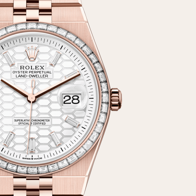 Rolex Land-Dweller in 18 ct Everose gold, M127285TBR-0002 - H.L. Gross Jewelers