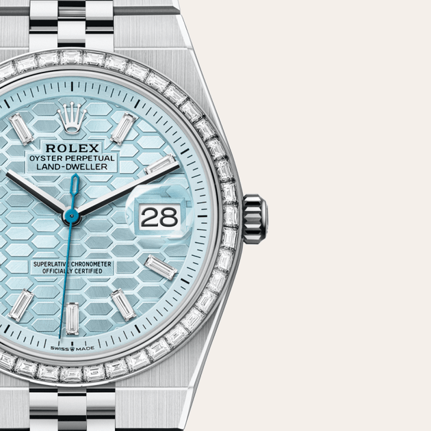 Rolex Land-Dweller in Platinum, M127286TBR-0001 - H.L. Gross Jewelers