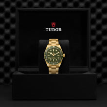 Tudor Black Bay 58 18K