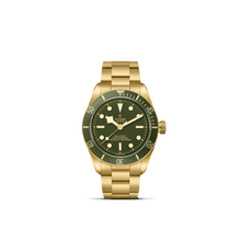 Tudor Black Bay 58 18K